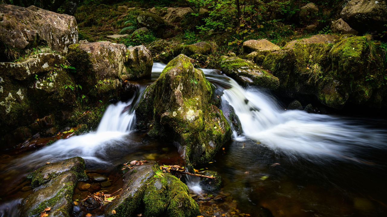 Быстрая холодная вода ручья стекает по покрытым мхом камням
