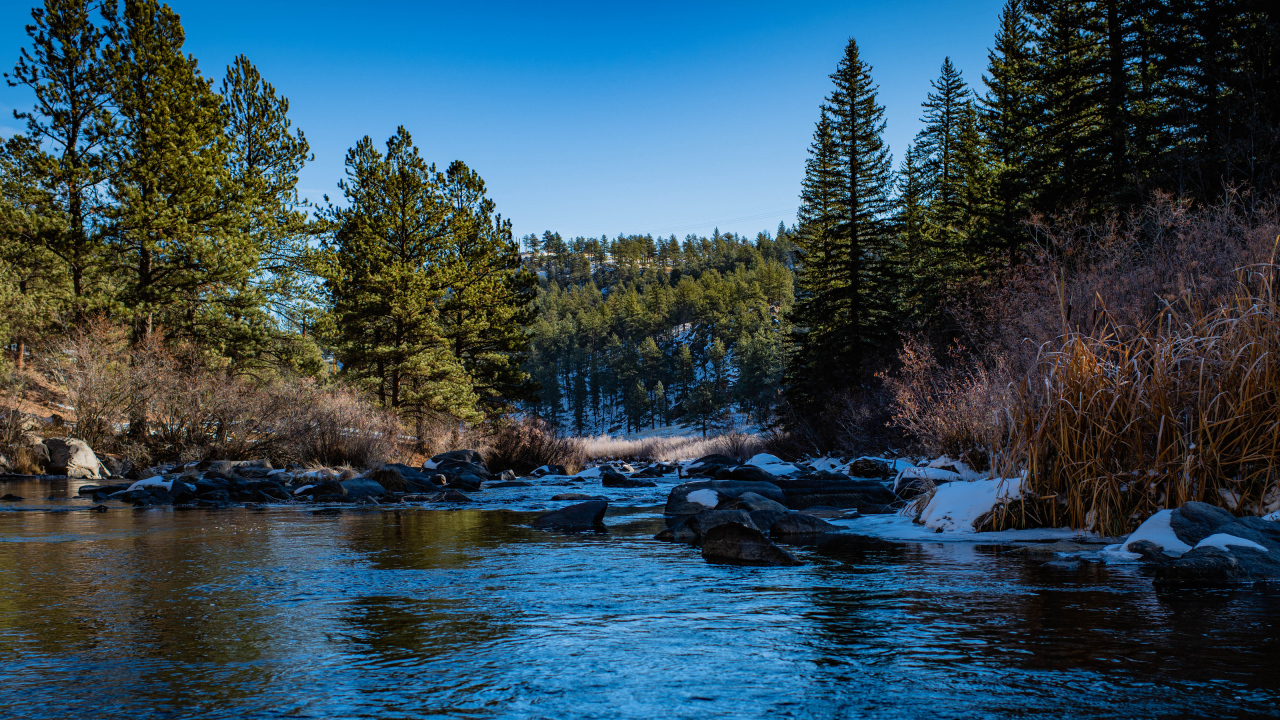 Река с заснеженными берегами в хвойном лесу