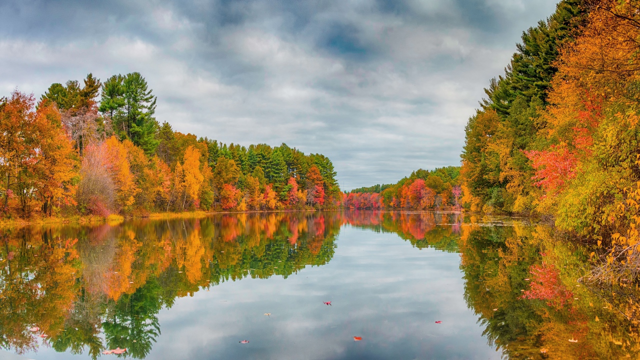 Красивые осенние деревья отражаются в спокойной глади реки 
