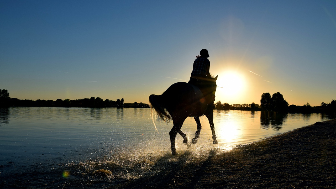 Девушка на лошади скачет по воде на закате солнца