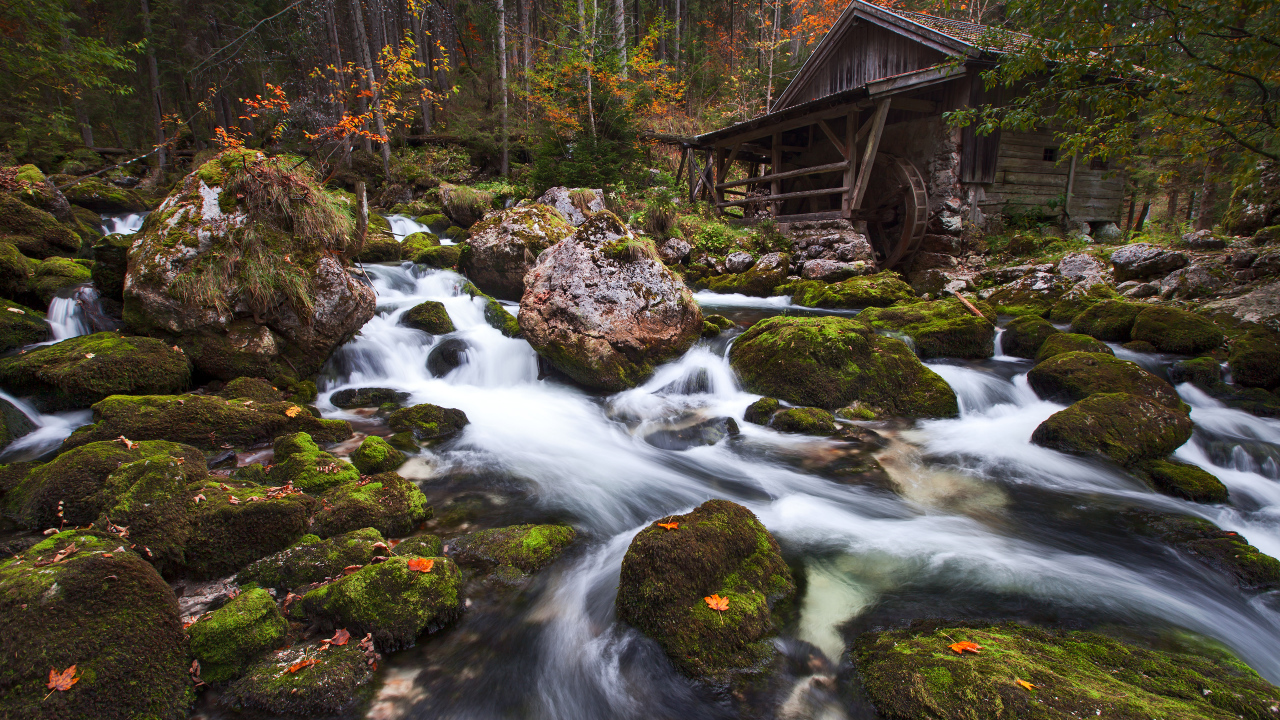 Вода стекает по камням в лесу у старого дома