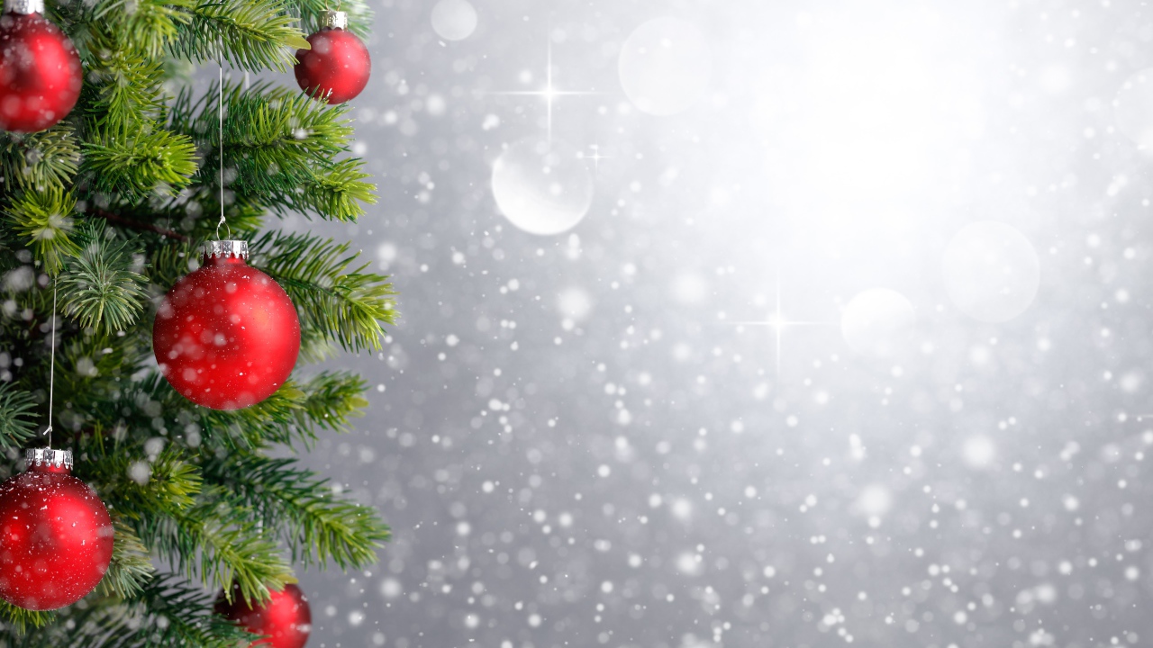 Еловая ветка с красными шариками, фон для новогодней открытки 