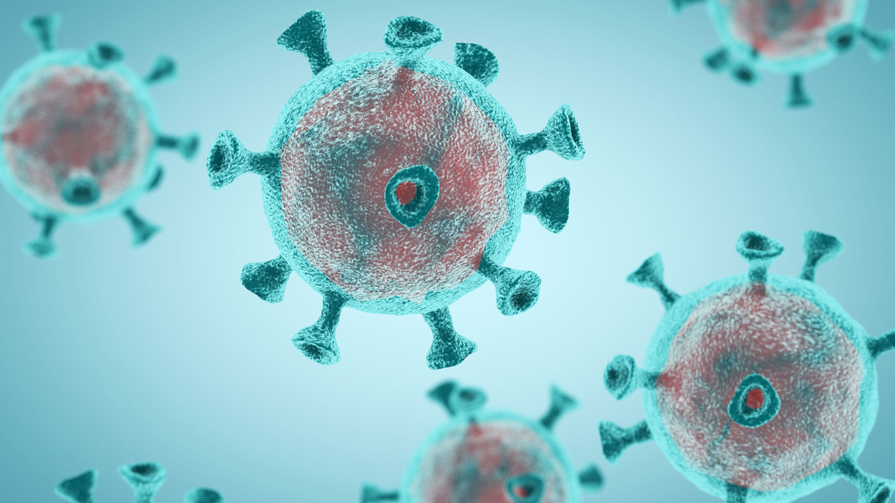 Бактерии коронавирус Covid-19 на голубом фоне