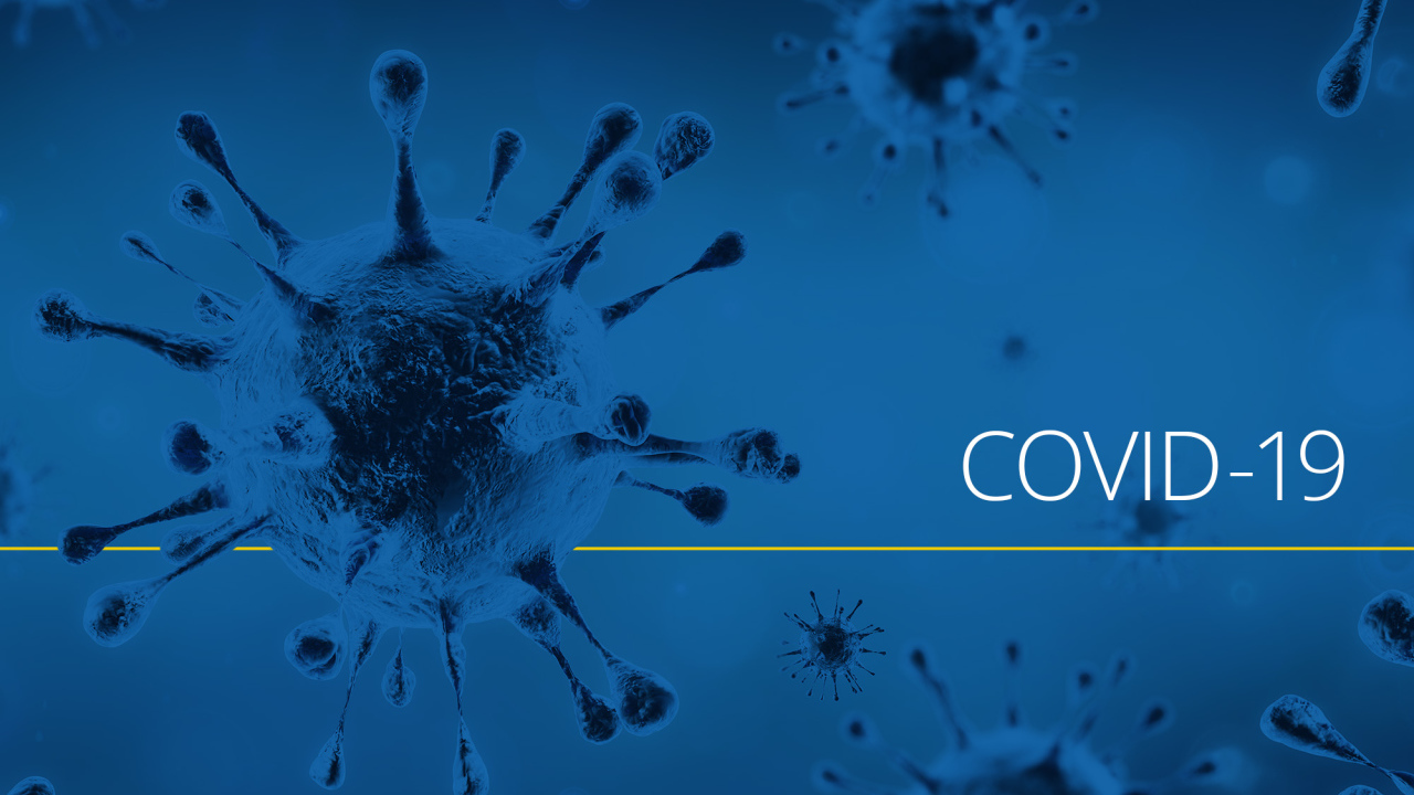 Pandemic coronavirus covid-19, 2020