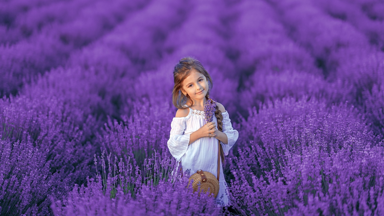 Красивая маленькая девочка на лавандовом поле 