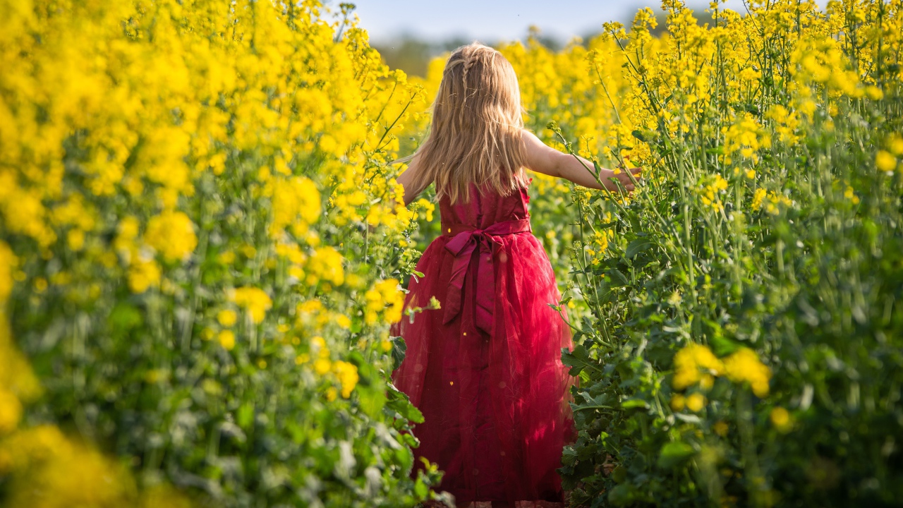 Маленькая девочка идет по полю с желтыми цветами