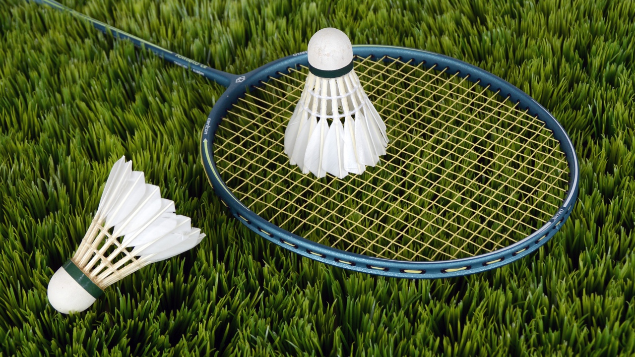 Badminton racket and shuttlecocks