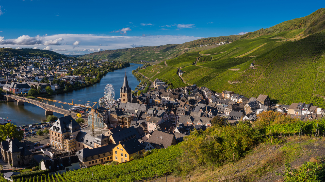 Вид город, реку и виноградник. Германия 