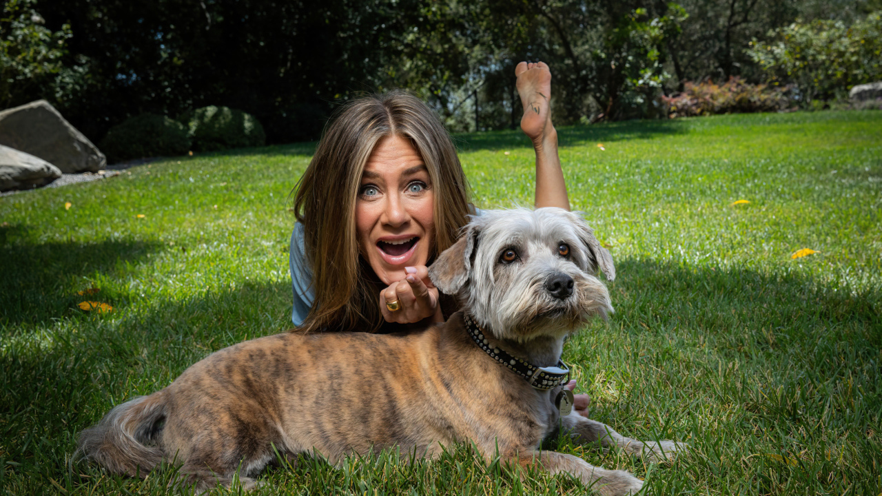 Актриса Дженнифер Энистон с собакой лежит на траве