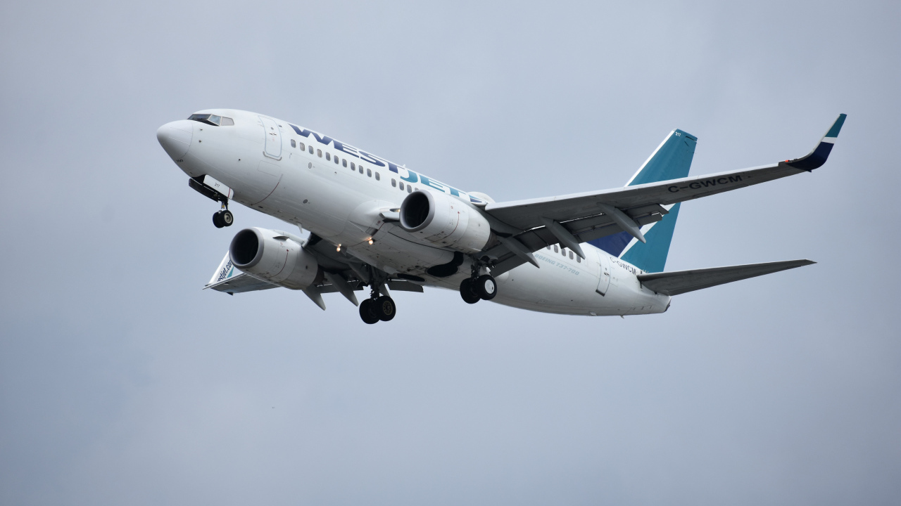 Пассажирский Boeing 737 авиакомпании  WestJet в небе 