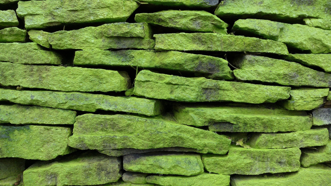 Зеленые покрытые мхом камни на стене, фон 