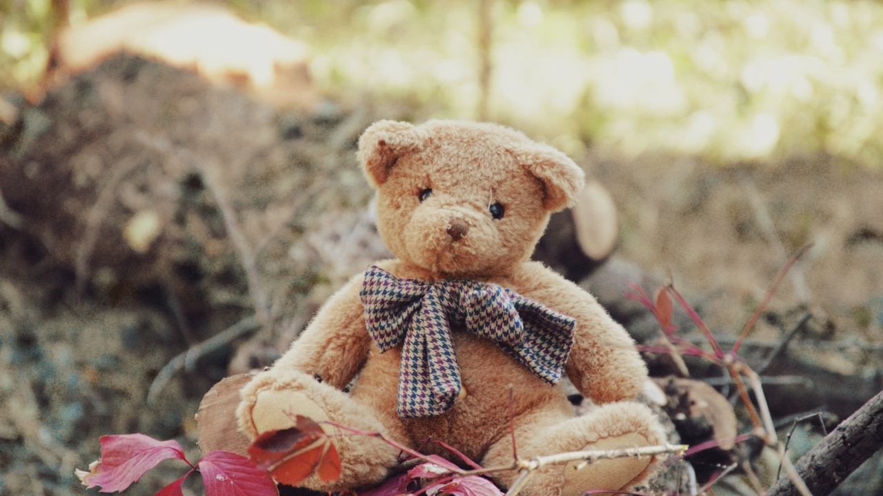 Маленький плюшевый мишка сидит на земле 