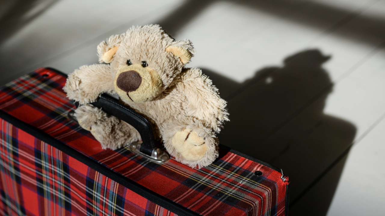 Медвежонок Тедди с большим чемоданом 