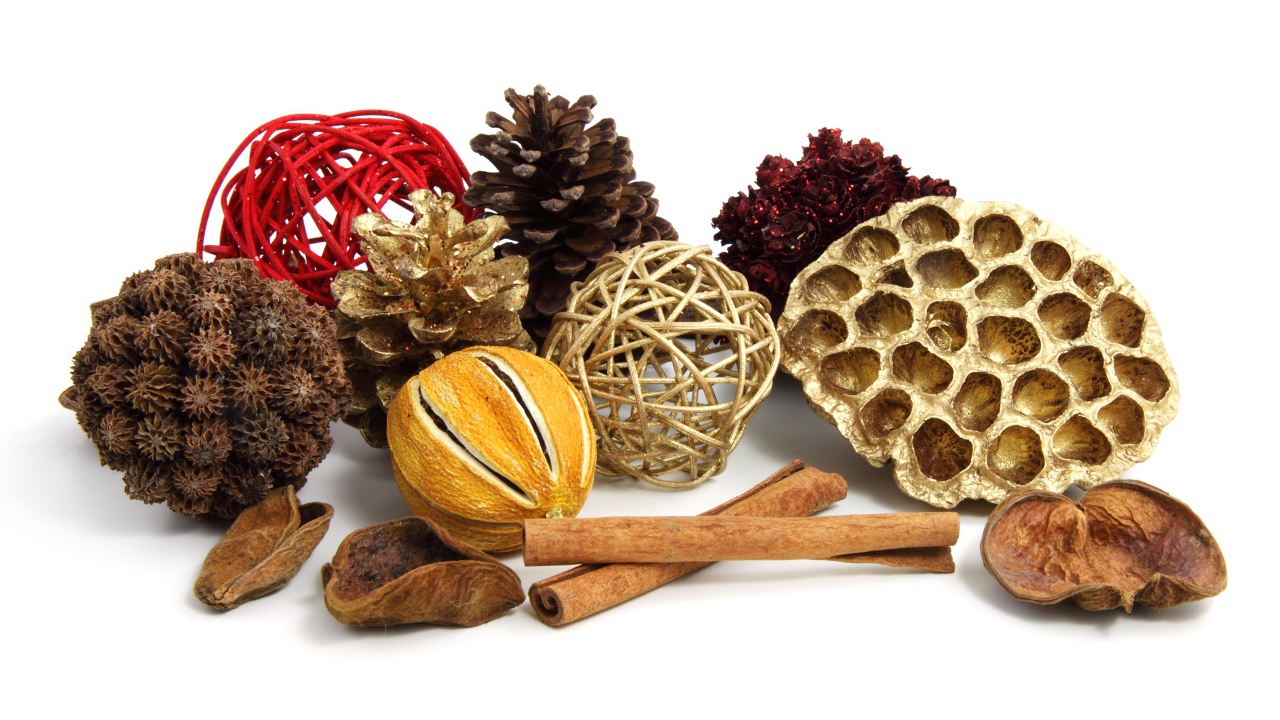 Ароматные специи и шишки на белом фоне 