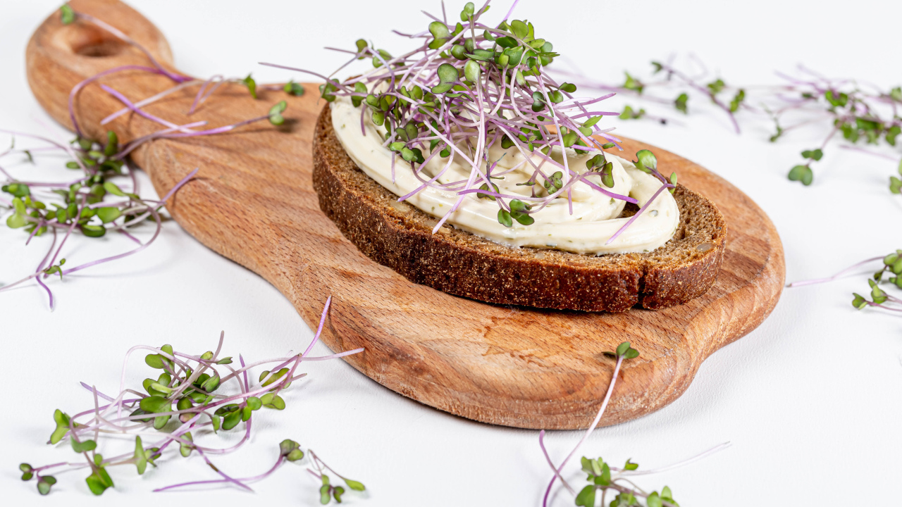 Бутерброд с соусом и зелеными ростками пшеницы