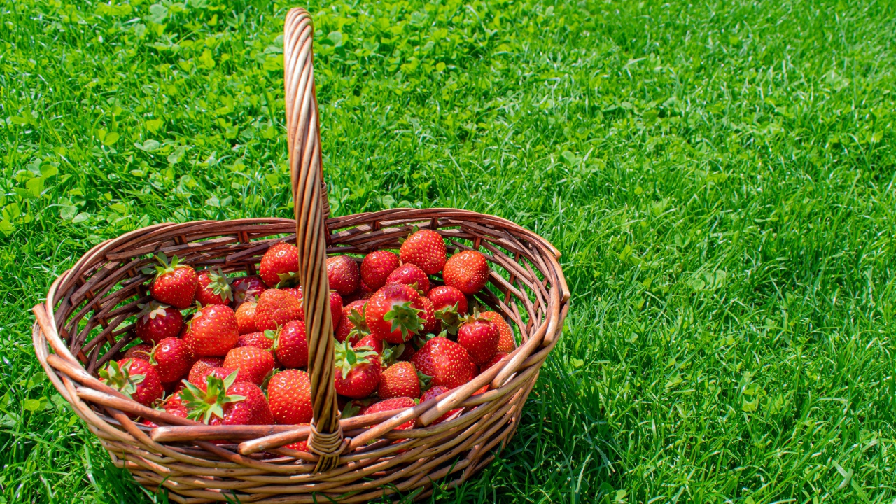 Корзина спелой красной клубники на зеленой траве