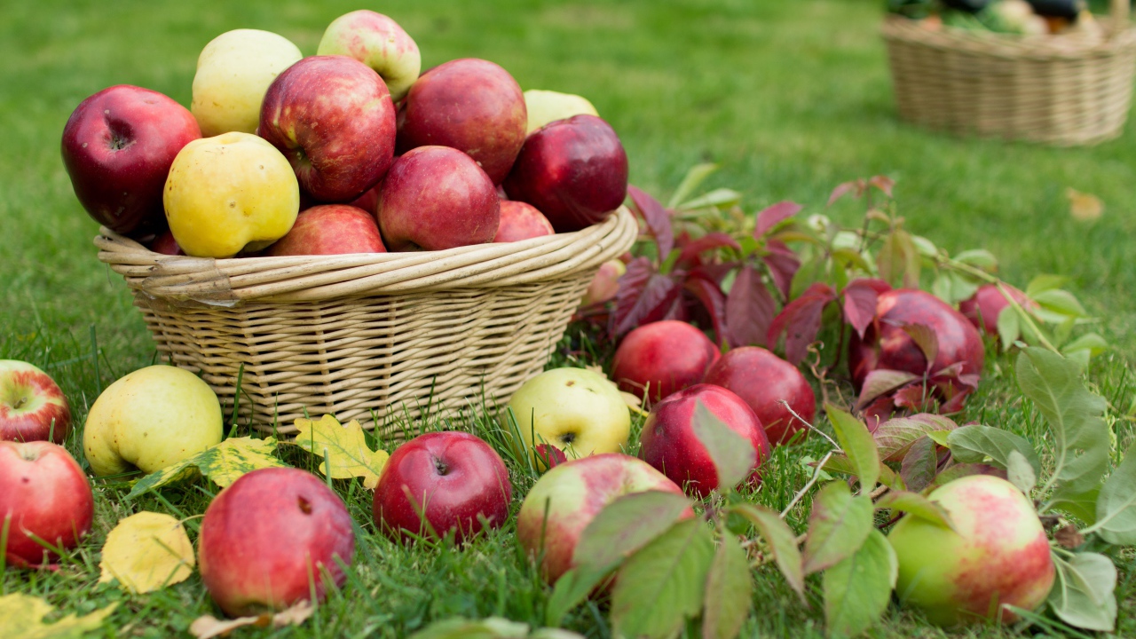 Красные и желтые яблоки в корзине на зеленой траве