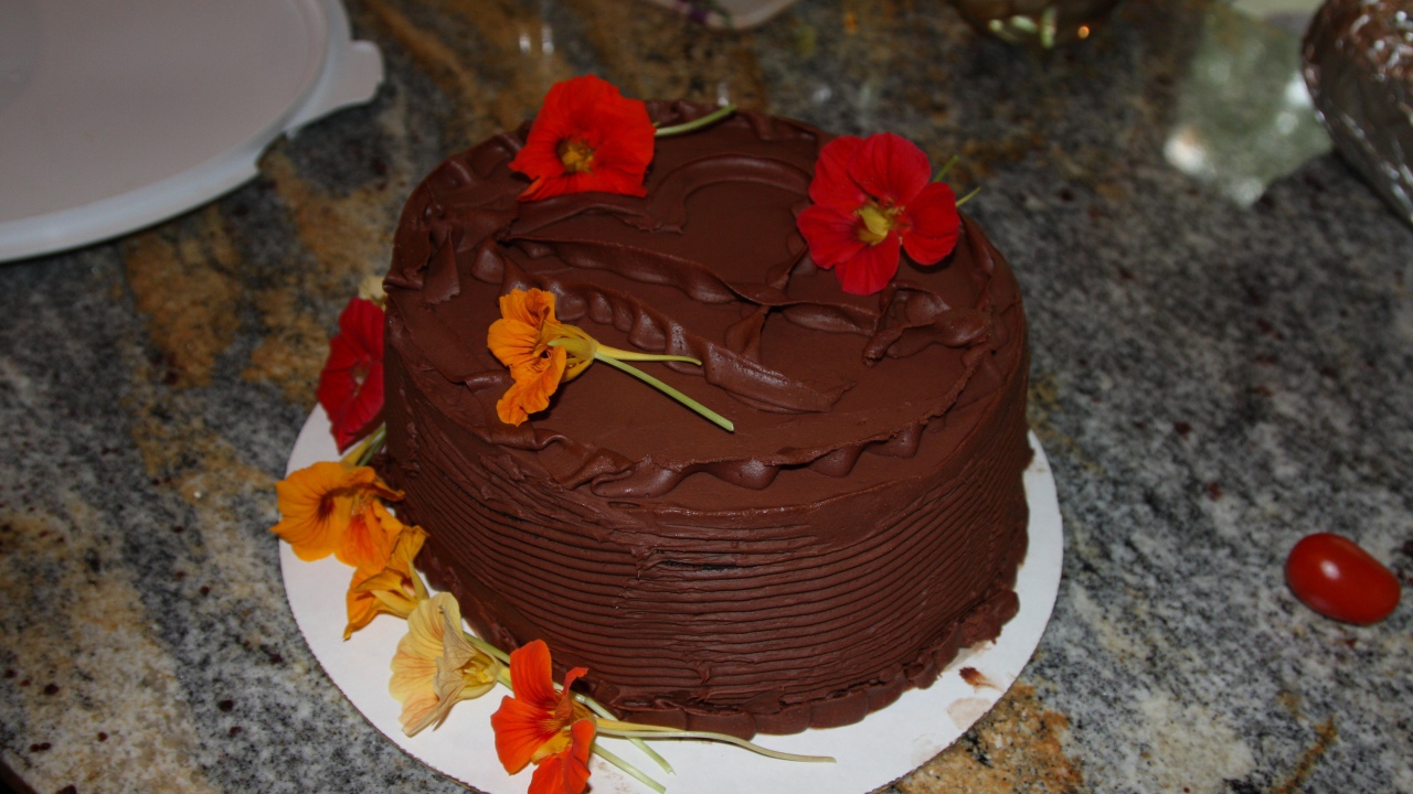 Appetizing chocolate cake with nasturtium flowers
