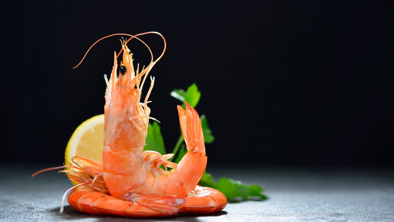 Вареные креветки с лимоном на черном фоне