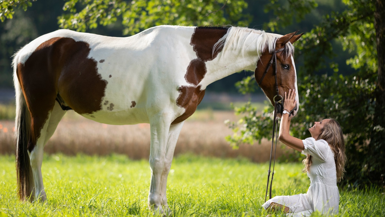 Девушка блондинка с лошадью на зеленой траве