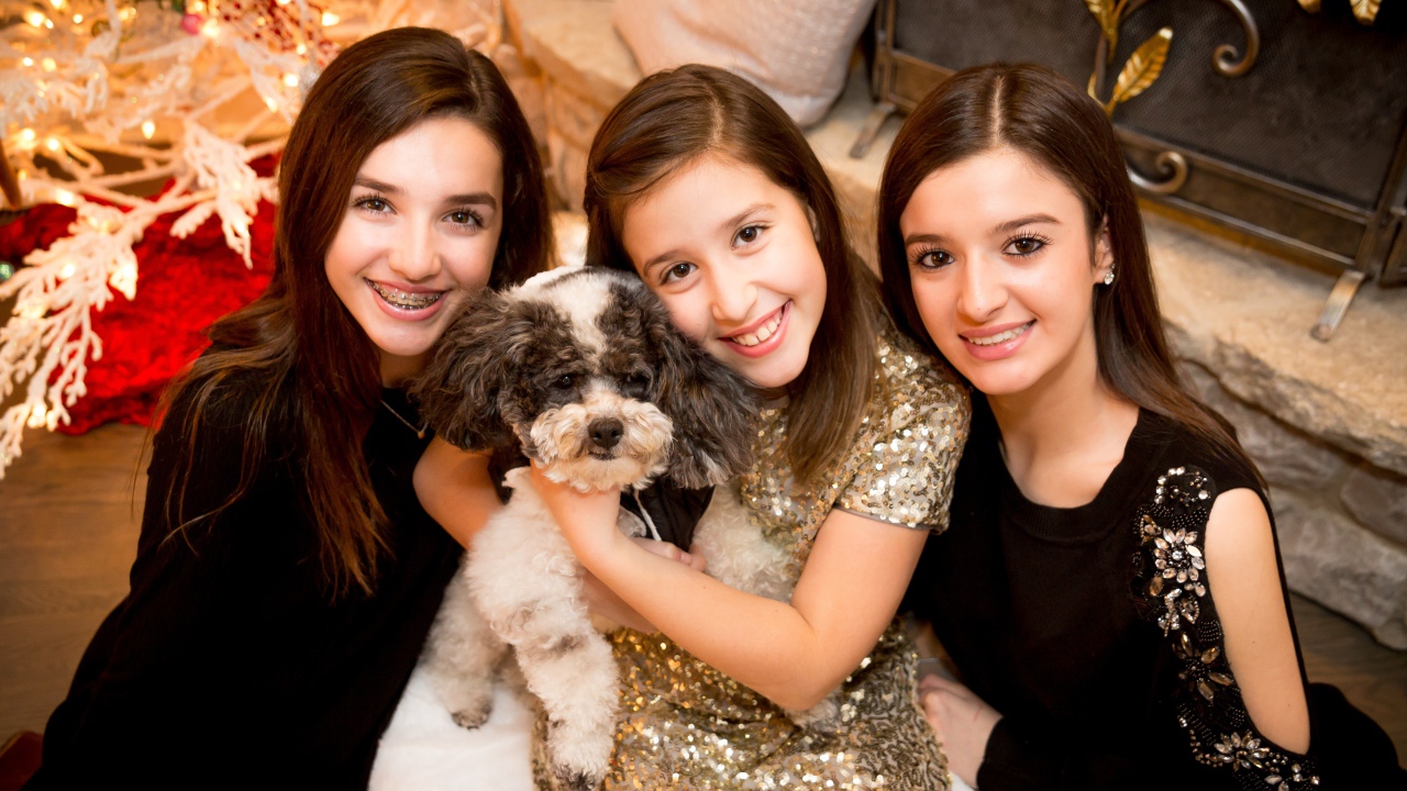 Три улыбающихся девушки с собакой на новый год