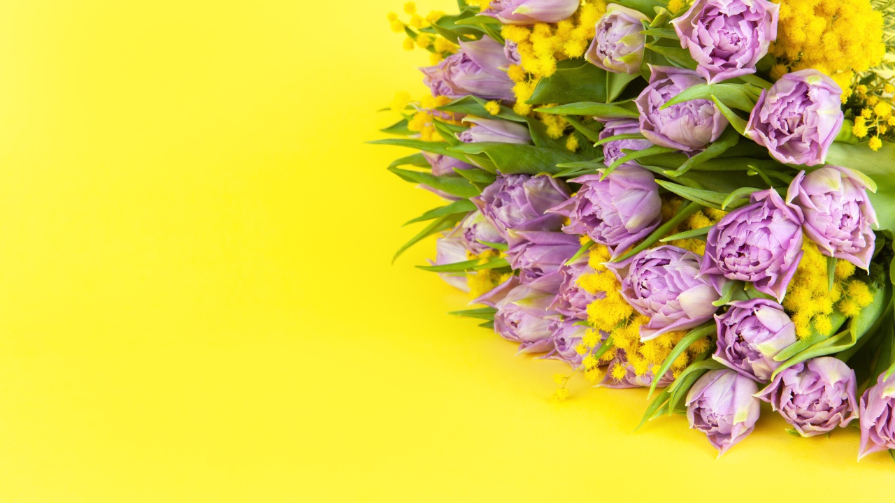Букет тюльпанов с мимозой на желтом фоне, шаблон на 8 марта