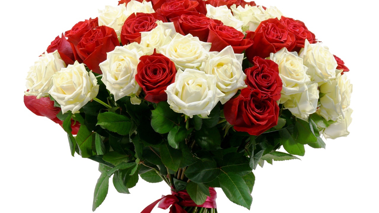 Большой букет красных и белых роз на 8 марта