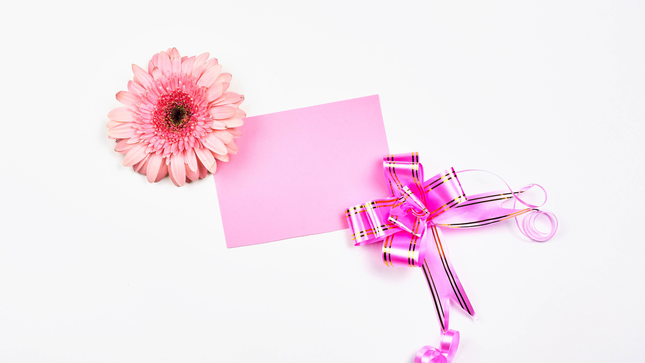 Лист, цветок герберы и бант шаблон для открытки на 8 марта