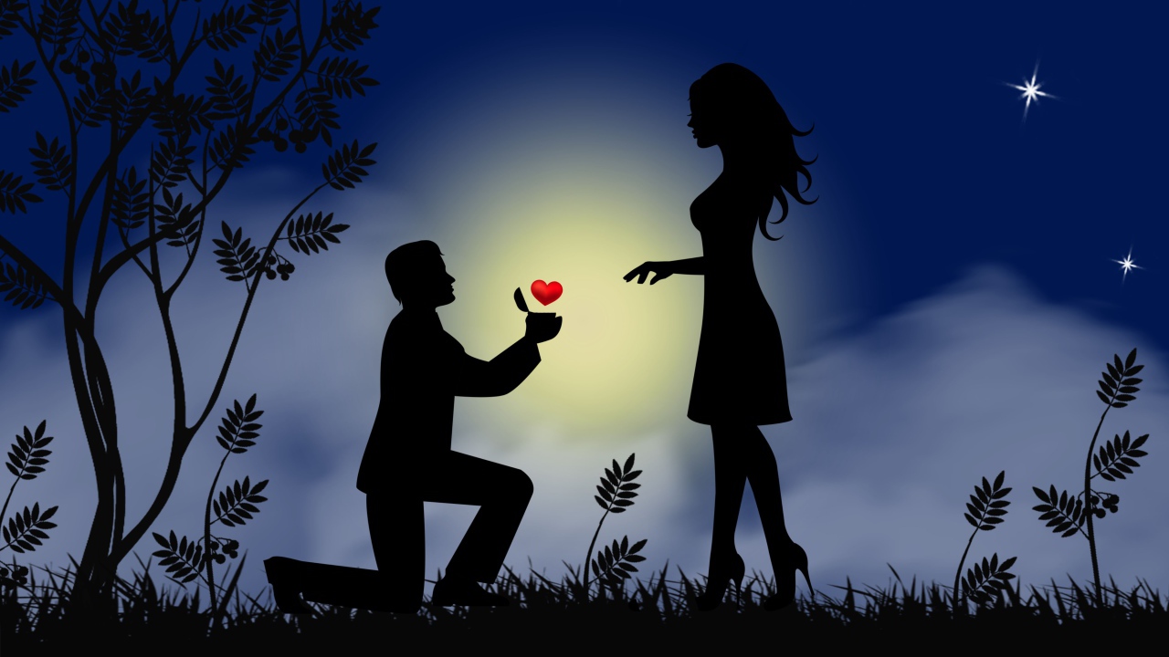 The guy makes the girl a proposal on the background of the moon