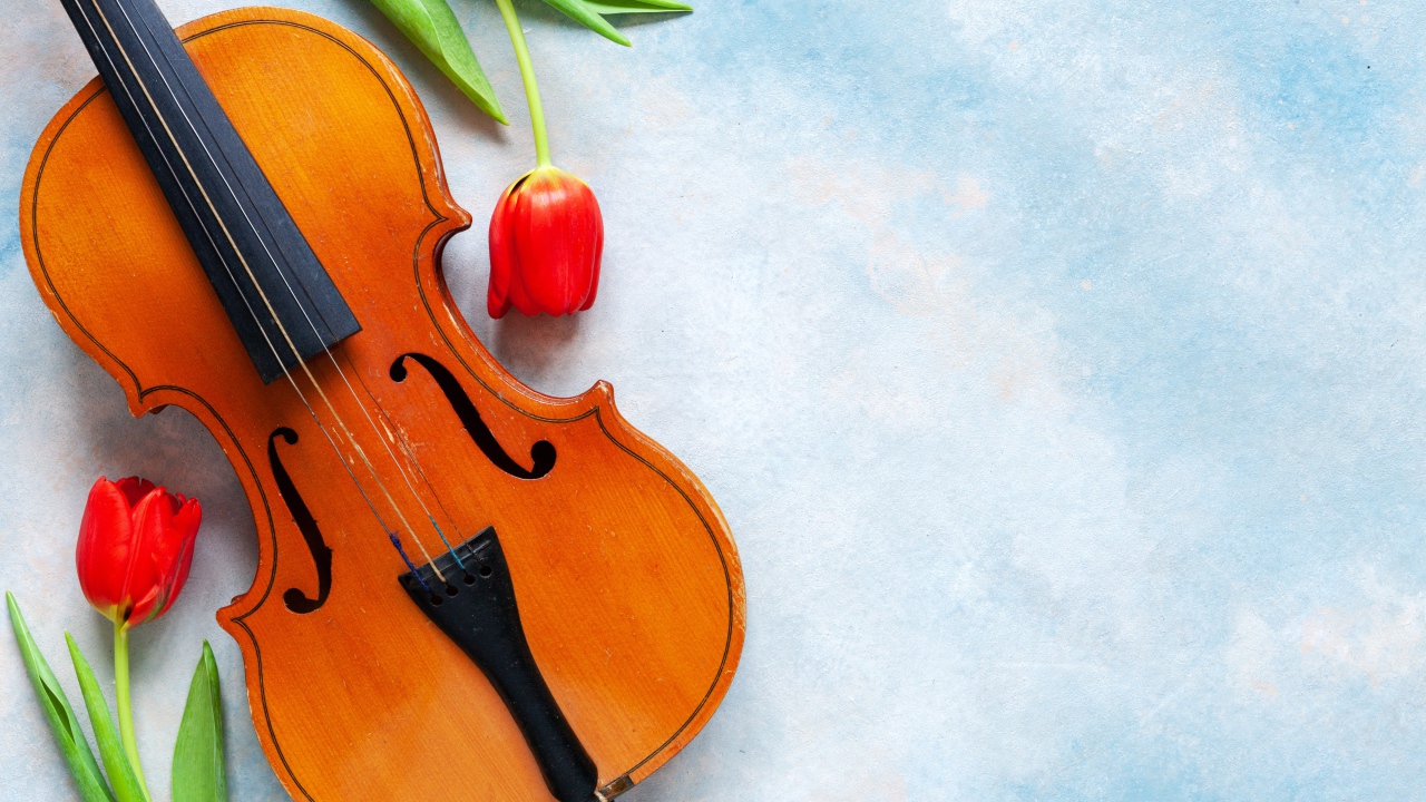 Скрипка с тюльпанами на голубом фоне