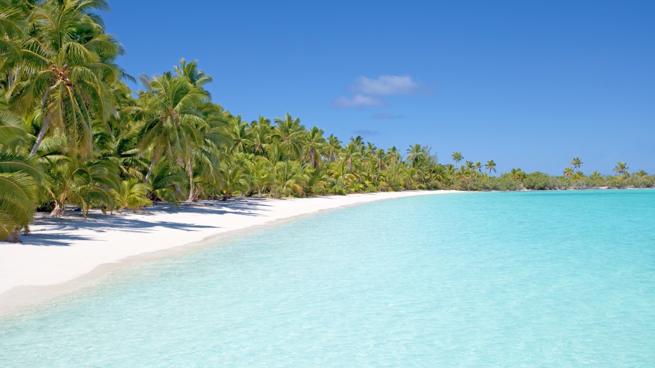 Чистый тропический пляж с голубой водой 