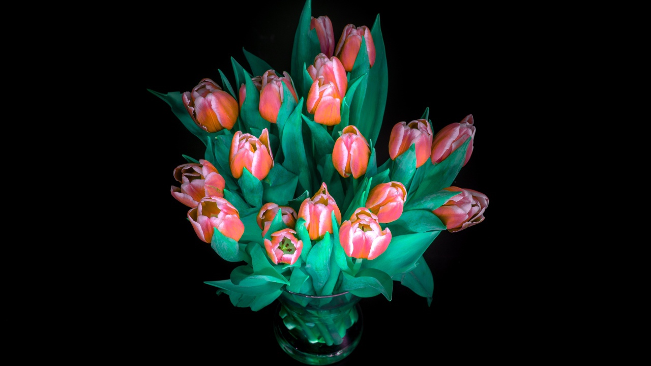 Красивый букет тюльпанов в вазе на черном фоне