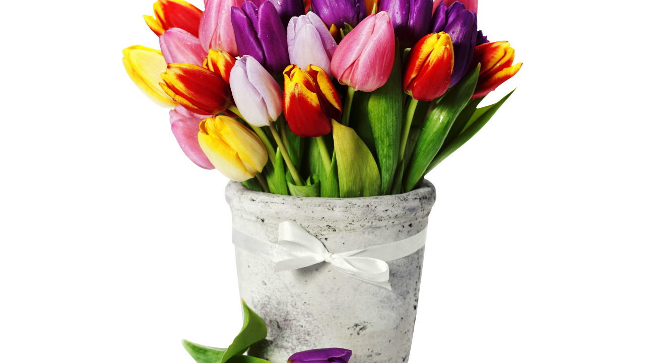 Букет разноцветных тюльпанов в вазе на белом фоне