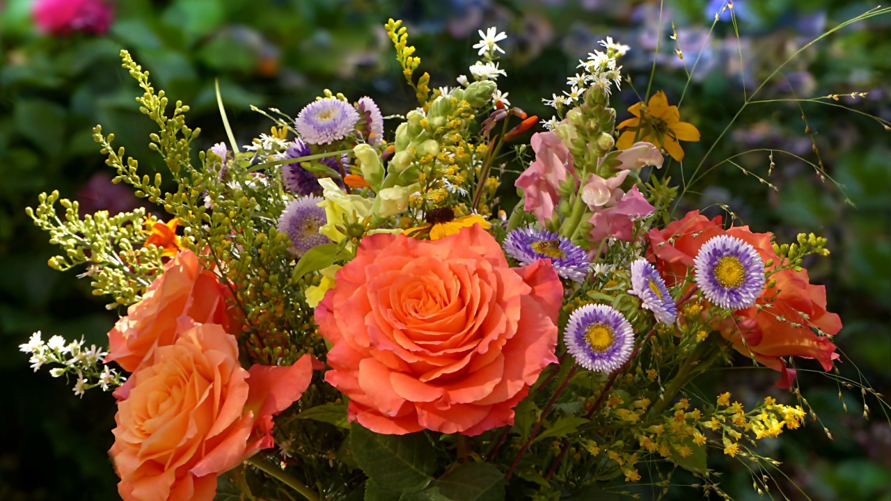 Букет полевых цветов с розами крупным планом