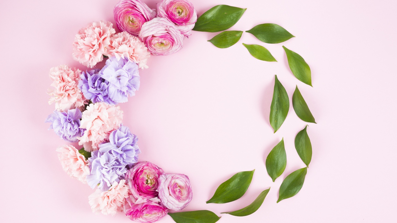 Цветы гвоздики и лютика с зелеными листьями на розовом фоне