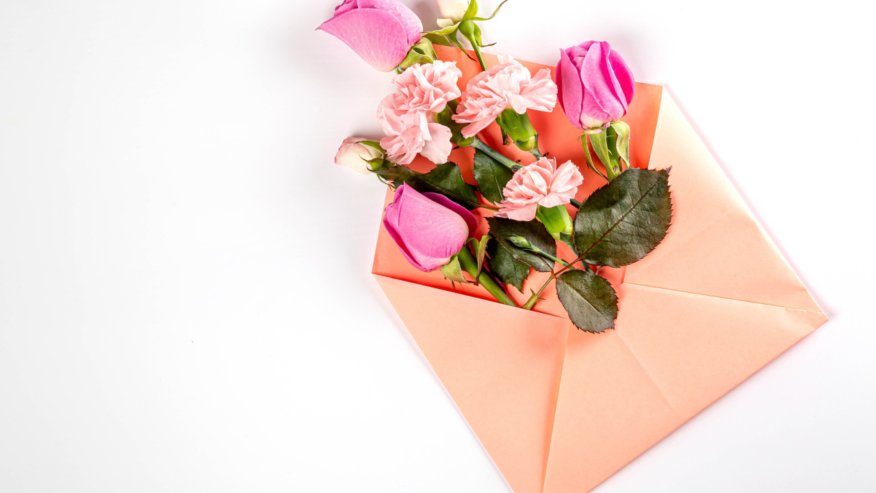 Розовый конверт с цветами  розы и гвоздики на белом фоне