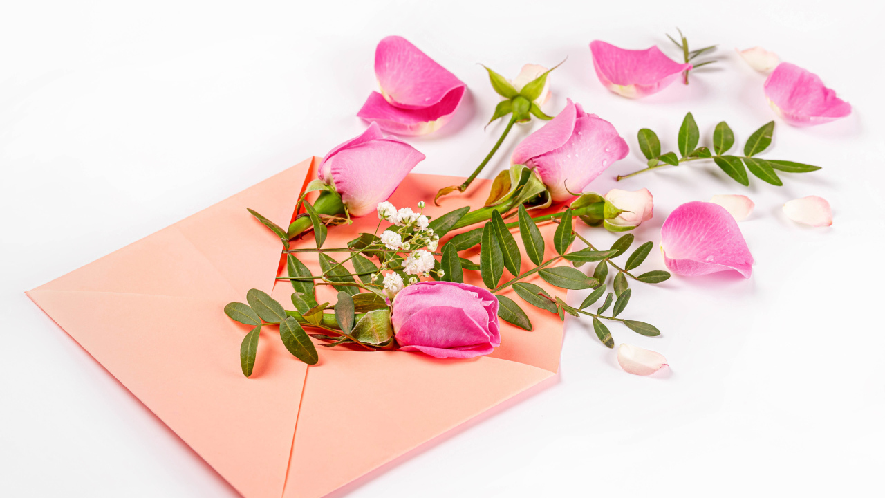 Розовые розы с зелеными листьями в конверте на белом фоне