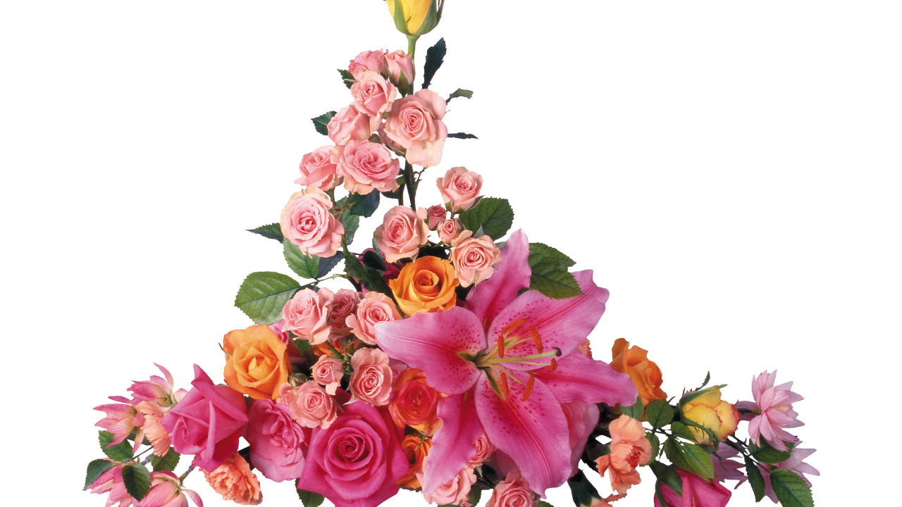 Розовые розы с лилиями на белом фоне 