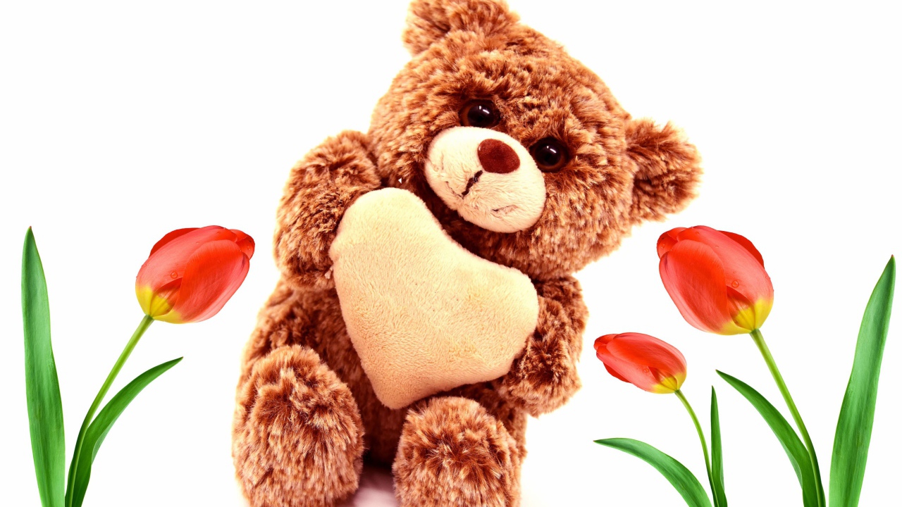 Игрушка медвежонок с красными тюльпанами на белом фоне