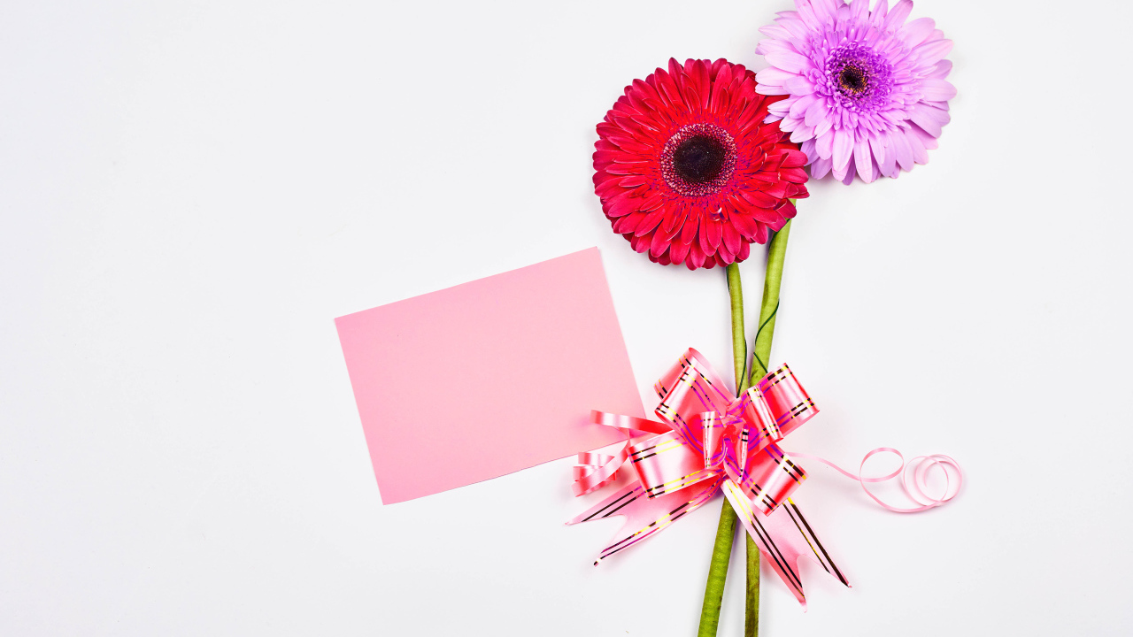 Два цветка герберы на столе с бантом и листом бумаги