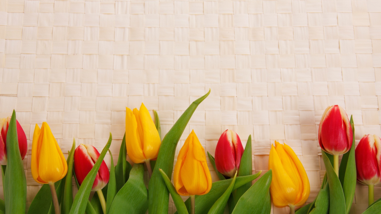 Желтые и красные тюльпаны на плетеном фоне