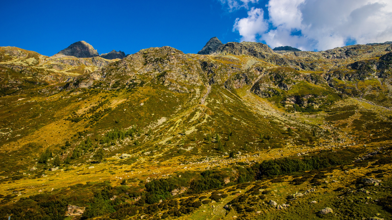 Покрытые зеленью Швейцарские альпы под голубым небом