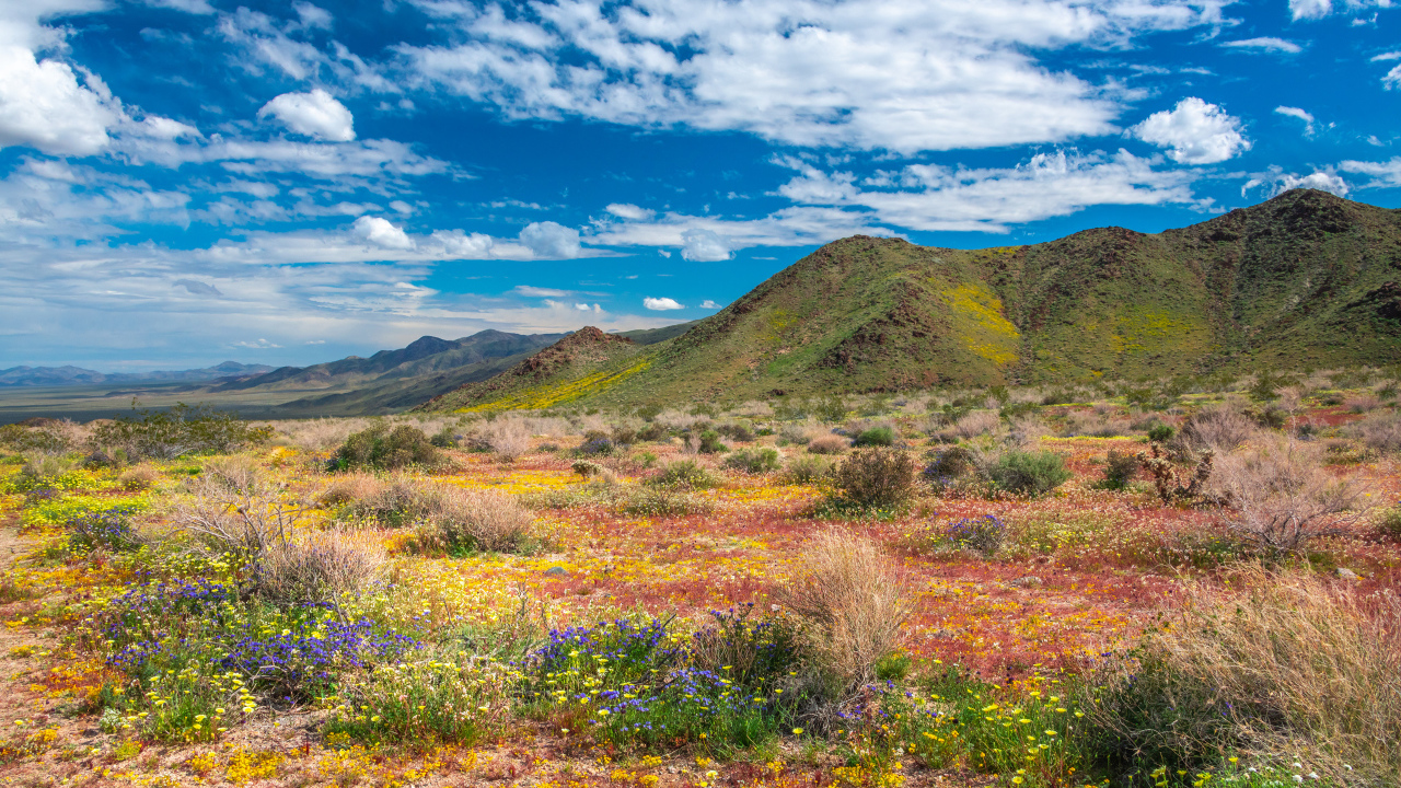 Высокие горы в национальном парке под голубым небом