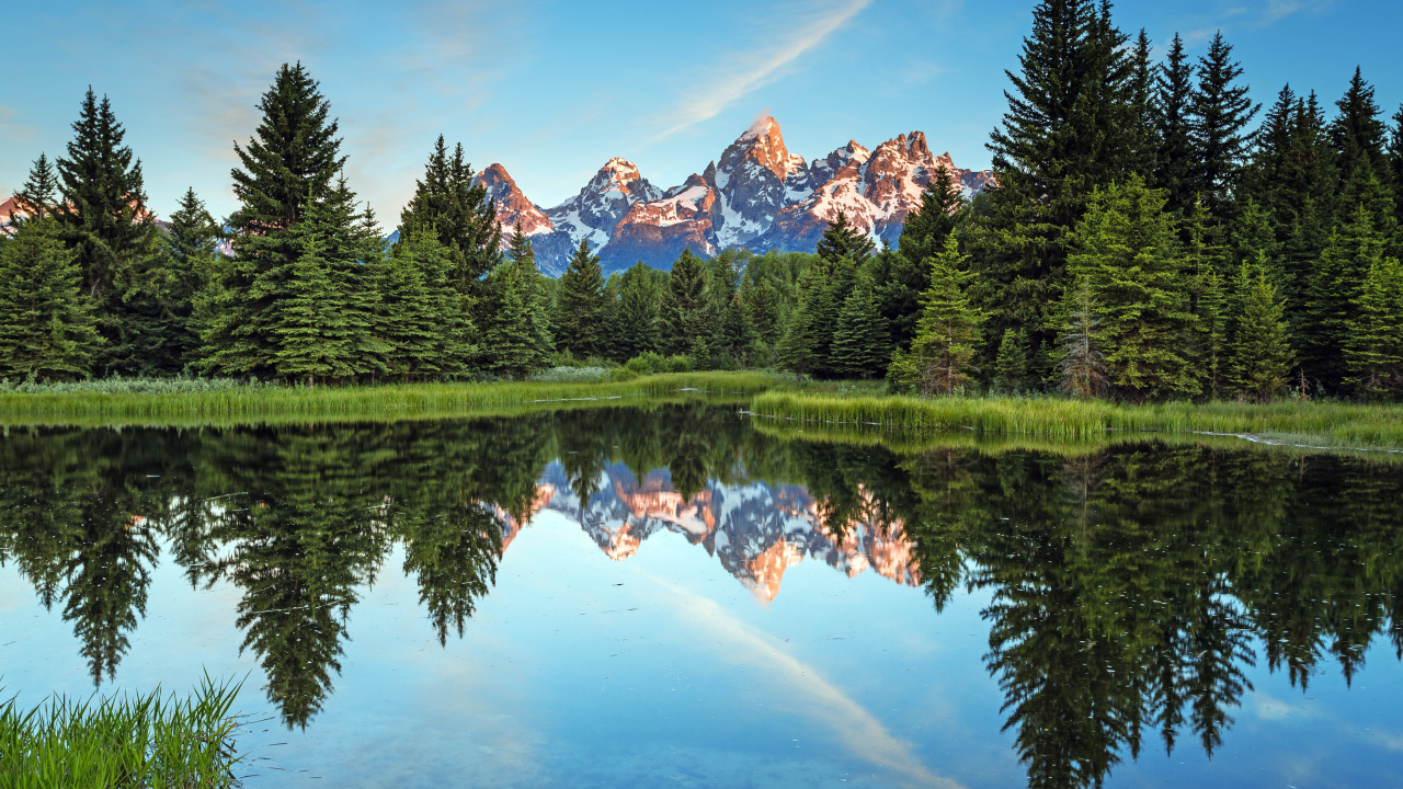 Зеленые высокие ели отражаются в озере на фоне гор