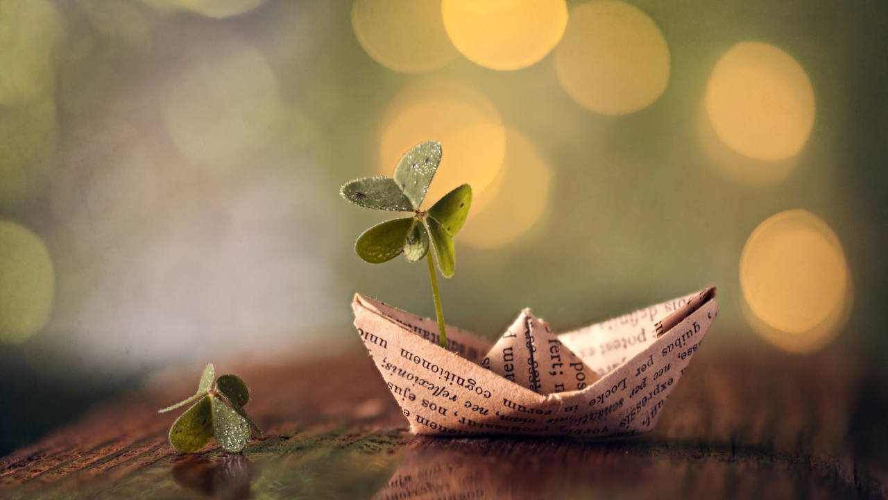 Бумажный кораблик с зеленым листом клевера