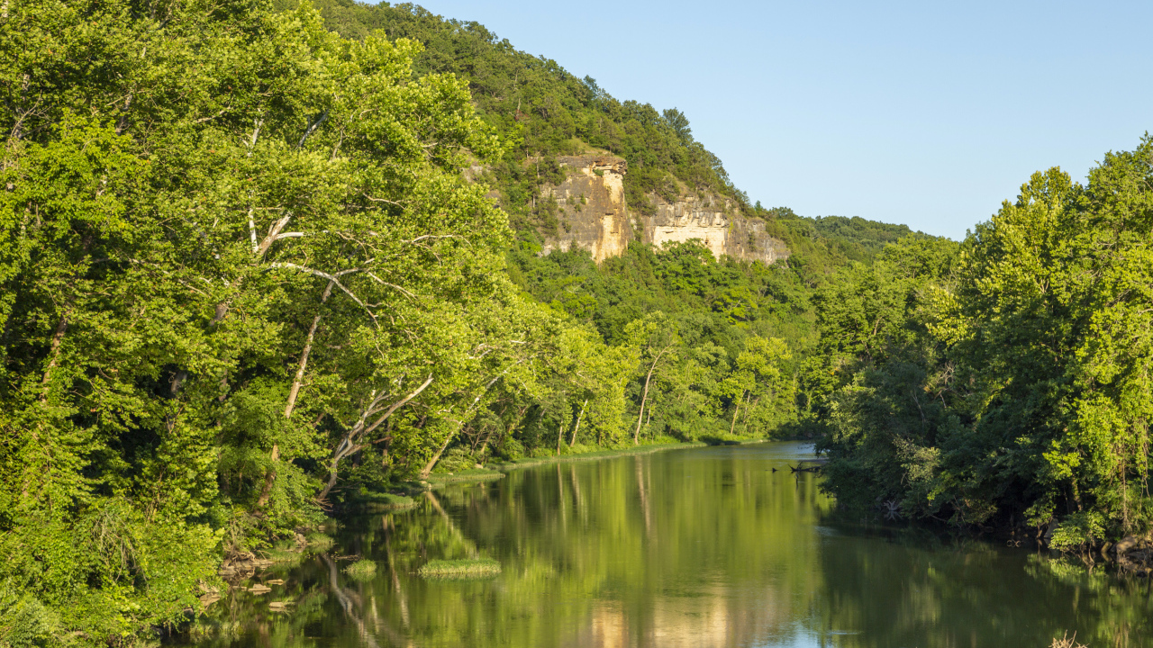 Зеленые деревья на склоне утеса над рекой 