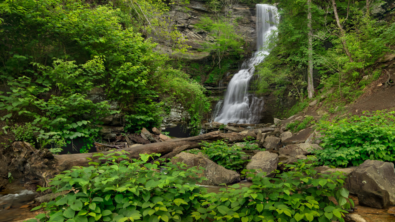 Водопад стекает по камням в национальном парке, США