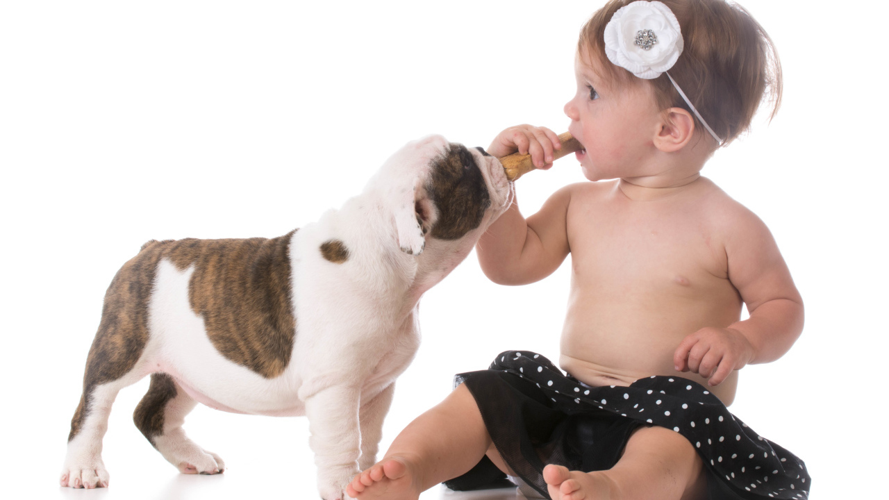 Маленькая девочка с милым щенком на белом фоне