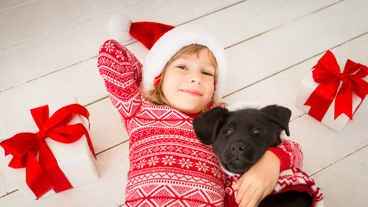 Маленькая девочка с собакой и новогодними подарками