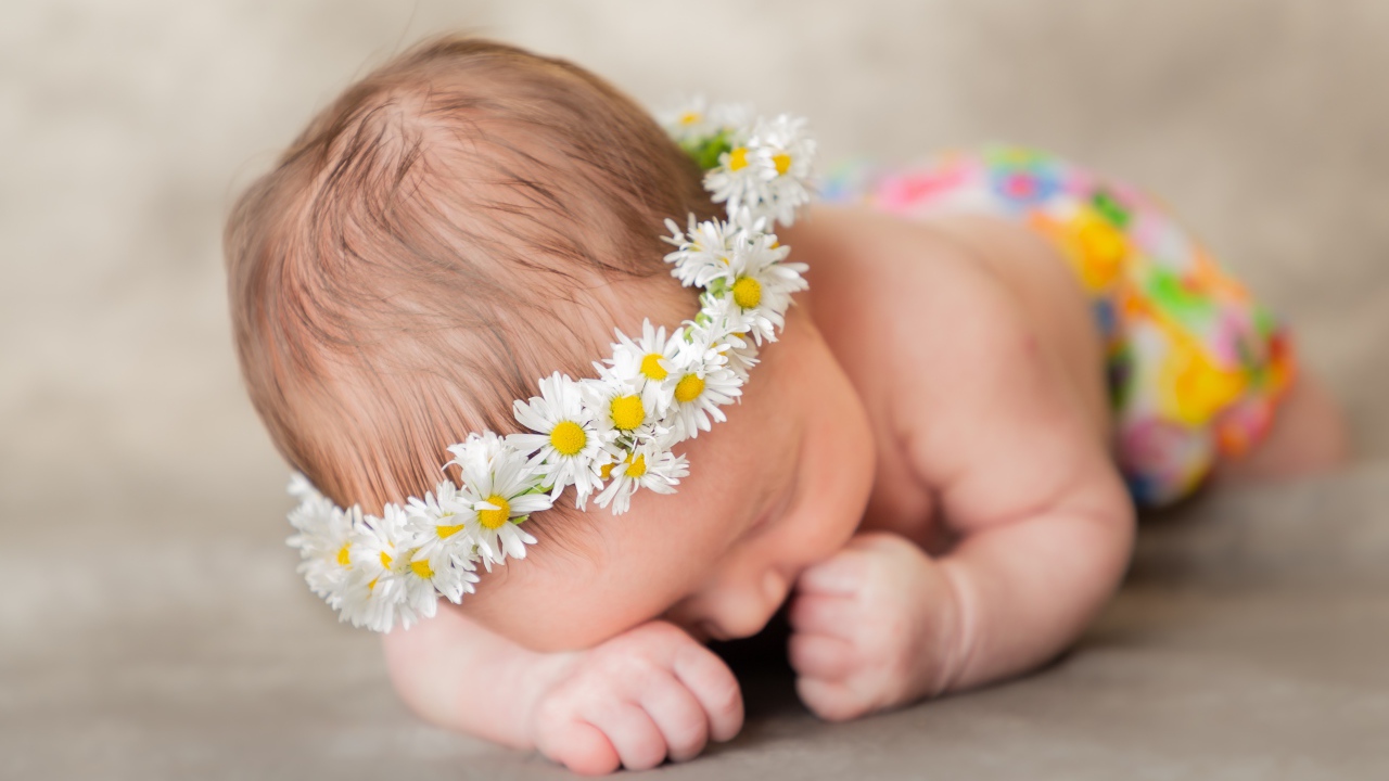 Спящий грудной ребенок в венке из ромашек 